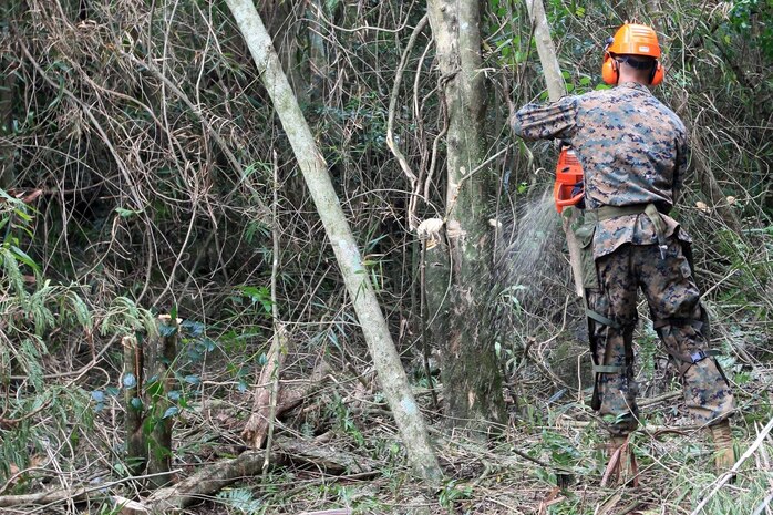 Marine Private First Class William T. Todd with Combat Logistics Detachment 39, 3rd Marine Logistics Group, cuts down a tree during brush clearing operations training Feb. 22, 2013. William was training during exercise Guahan Shield, an exercise designed to facilitate multiservice engagement and provide potential rapid response to theater crises and contingency operations in the Asia-Pacific region.