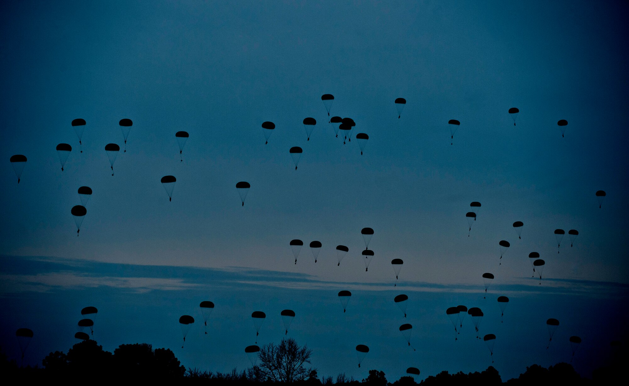 U.S. Army Soldiers from the 1st Battalion  321st Airborne Artillery Regiment from Fort Bragg, N.C., parachute over Sicily Air Field during a 1,700 parachute Joint Operational Access Exercise Feb. 25, 2013, at Fort Bragg, N.C. JOAX exercises give soldiers the opportunity to practice seizing an airfield. (U.S. Air Force photo by Senior Airman Daniel Hughes)