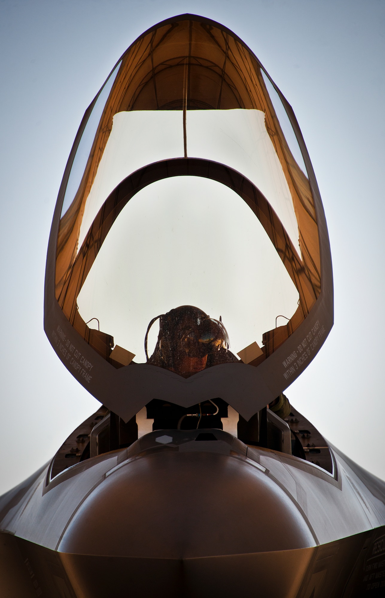 Lt. Col. Benjamin Bishop, the 422nd Test and Evaluation Squadron director of operations, completes preflight checks before his first sortie in an F-35A Lightning II at Eglin Air Force Base, Fla., March 6.  Bishop is among the first pilots to begin the official training that began in January.  Bishop and other 422nd TES pilots will begin operational testing of the joint strike fighter later this year at Nellis Air Force Base, Nev.  (U.S. Air Force photo/Samuel King Jr.)