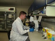 Laboratory technician examines specimen