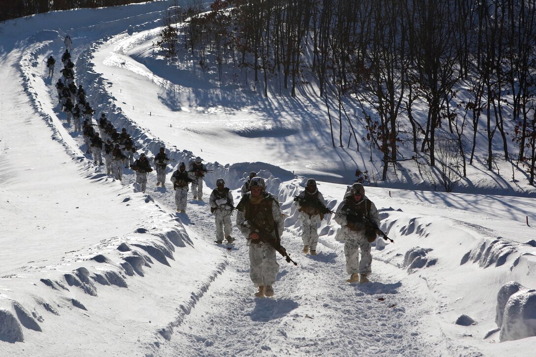 Marines and Japan Ground Self-Defense Force members patrol together March 2 during a comprehensive bilateral field training exercise as part of Exercise Forest Light 13-3 at the Hokkaido-Dai Maneuver Area in Hokkaido prefecture, Japan. Forest Light is a semiannual training exercise that enhances the partnership between the U.S. and Japan, solidifies regional security agreements, increases interoperability of forces, and improves individual and unit-level skills.
