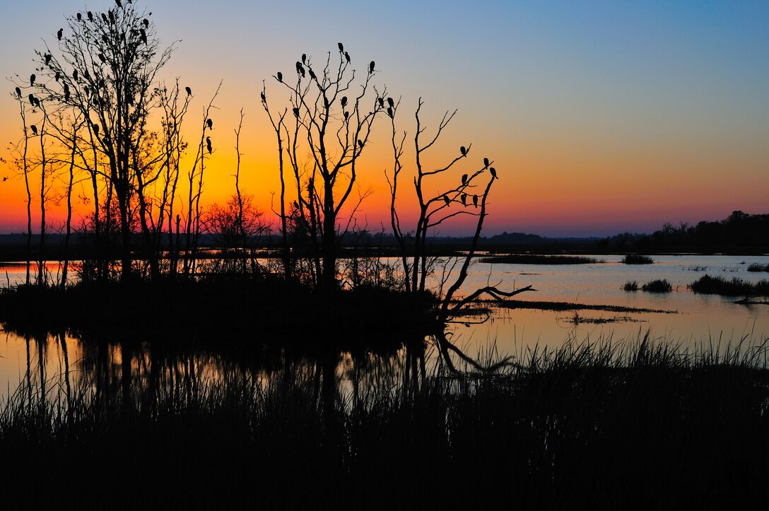 A view of the Savannah National Wildlife Refuge.
