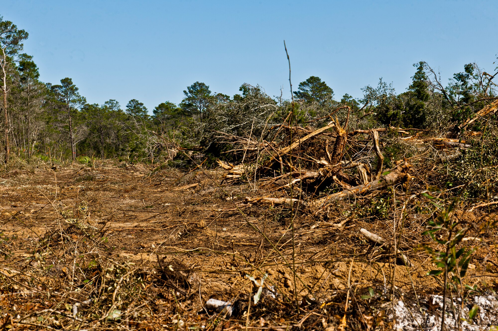 Trees and brush are being removed to make way for a new multi-purpose field and eventually tennis and basketball courts behind the East Gate shopette at Eglin Air Force Base, Fla.  This is one of many renovations to the athletic areas surrounding the track and field house.  All of the ball fields will be upgraded with new dugouts and fencing.  One of them will be converted to a multi-purpose field.  The concrete PT pads will be coated in rubber urethane.  Also, a covered pavilion area will be constructed between Foster Stadium and the soccer field.  These projects are to support the increased PT activity in the area, according to the 96th Force Support Squadron.  The expected completion date is late 2013.  (U.S. Air Force photo/Samuel King Jr.)