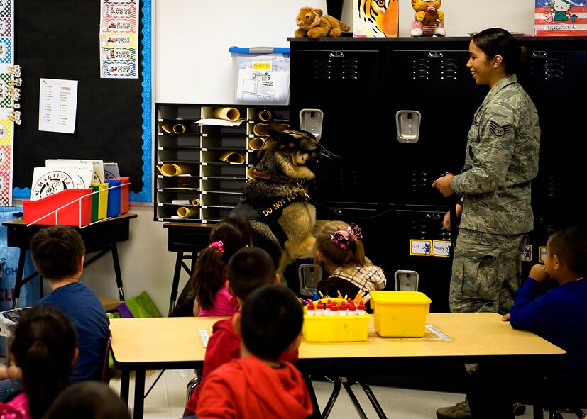 U.S. Air Force Staff Sgt. Kathy Chambers, 7th Security Forces Squadron, demonstrates Bartja’s, a 7th SFS military working dog, ability to sniff out drugs during a school visit March 7, 2013, in Abilene, Texas. During the visit, children had the opportunity to interact with Airmen from security forces, maintenance and public affairs. The Airmen talked to the children about their jobs and why they joined the Air Force. At the end of the visit the students read letters to the Airmen thanking them for their service. (U.S. Air Force photo by Airman 1st Class Damon Kasberg/ Released)