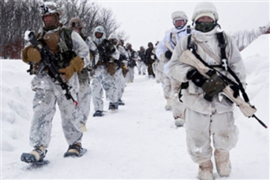 U.S. Marines and Japan Ground Self-Defense Forces move in on an enemy position together during the final comprehensive bilateral force-on-force training evolution during Exercise Forest Light 13-3 at the Hokkaido-Dai Maneuver Area, Hokkaido, Japan, March 3, 2013. The training began with the Marines and JGSDF patrolling separately on foot and by mechanized vehicles to reach a temporary position and setup a hasty defense.