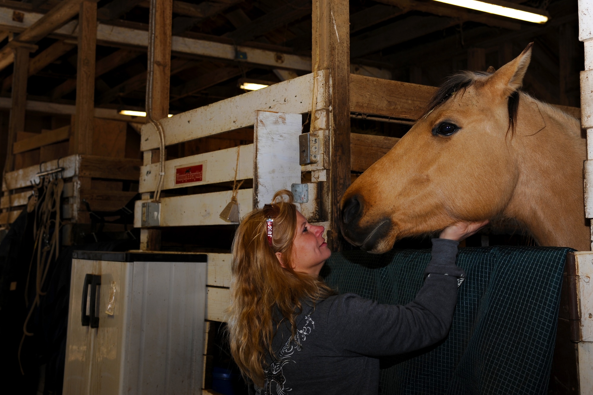 Kat Curry, Langley Saddle Club facility manager, scratches the face of a quarter horse boarded on Langley Air Force Base, Va., March 9, 2013. The Langley Saddle Club has 20 horses currently residing at the stables. (U.S. Air Force photo by Airman 1st Class Victoria Taylor/Released)