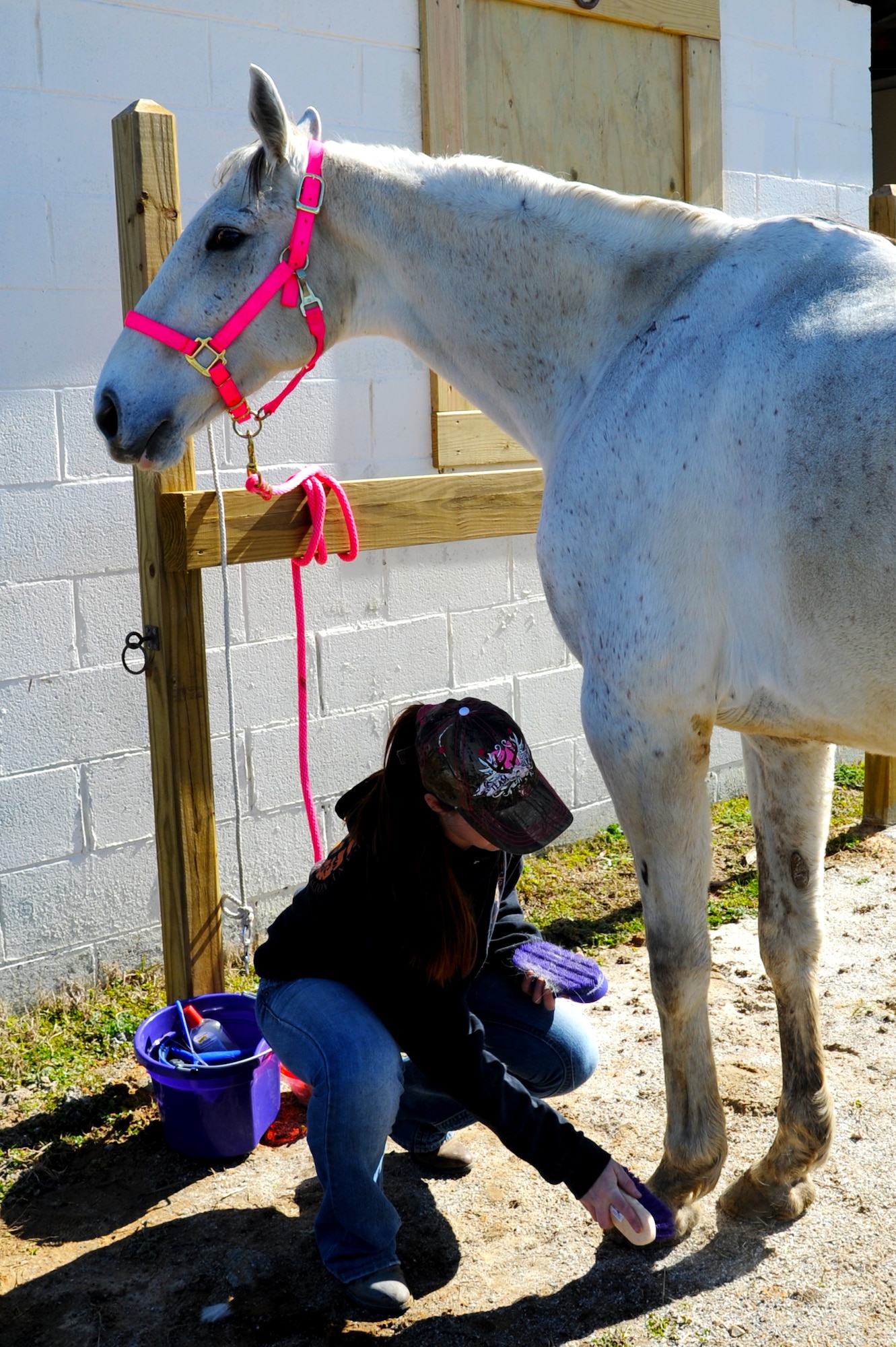 U.S. Army Spc. Madeline Jacobs, Public Health Command animal specialist of the Ft. Eustis district, brushes her 10-year-old thoroughbred, Robeline, at Langley Air Force Base, Va., March 9, 2013. Once every month, boarders at the Langley Saddle Club participate in a maintenance party to keep up on farm details. (U.S. Air Force photo by Airman 1st Class Victoria Taylor/Released)