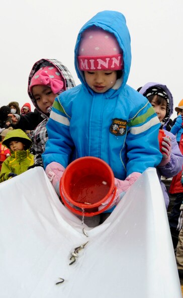 A child pours a bucket full of baby salmon down a make-shift ramp during the 16th Annual Baby Salmon Release at Oirase Salmon Park in Oirase Town, Japan, March 9, 2013. Japanese and American families from Misawa Air Base and the local community came together to release over 400,000 baby salmon into the Oirase River. (U.S. Air Force photo by Airman 1st Class Kenna Jackson)