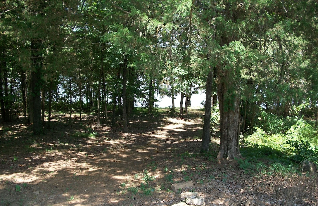 One of the many footpaths at Lake Dardanelle