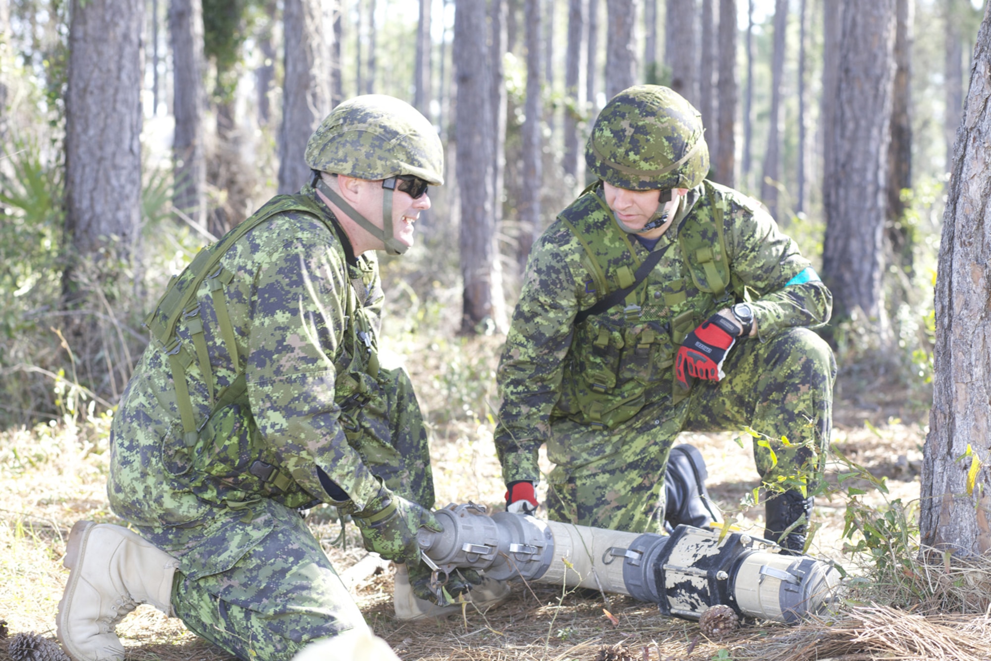 TYNDALL AIR FORCE BASE, Fla. -- Royal Canadian Air Force construction engineers from 19th Wing, Construction Engineering Flight, Canadian Forces Base Comox, British Columbia, set up a connection for a reverse osmosis water purification unit during a Silver Flag exercise here March 7, 2013. The Canadians trained side-by-side with U.S. Airmen during a week-long course designed to help them prepare to establish, sustain and recover an airfield in a contingency environment. (U.S. Air Force photo/Eddie Green)