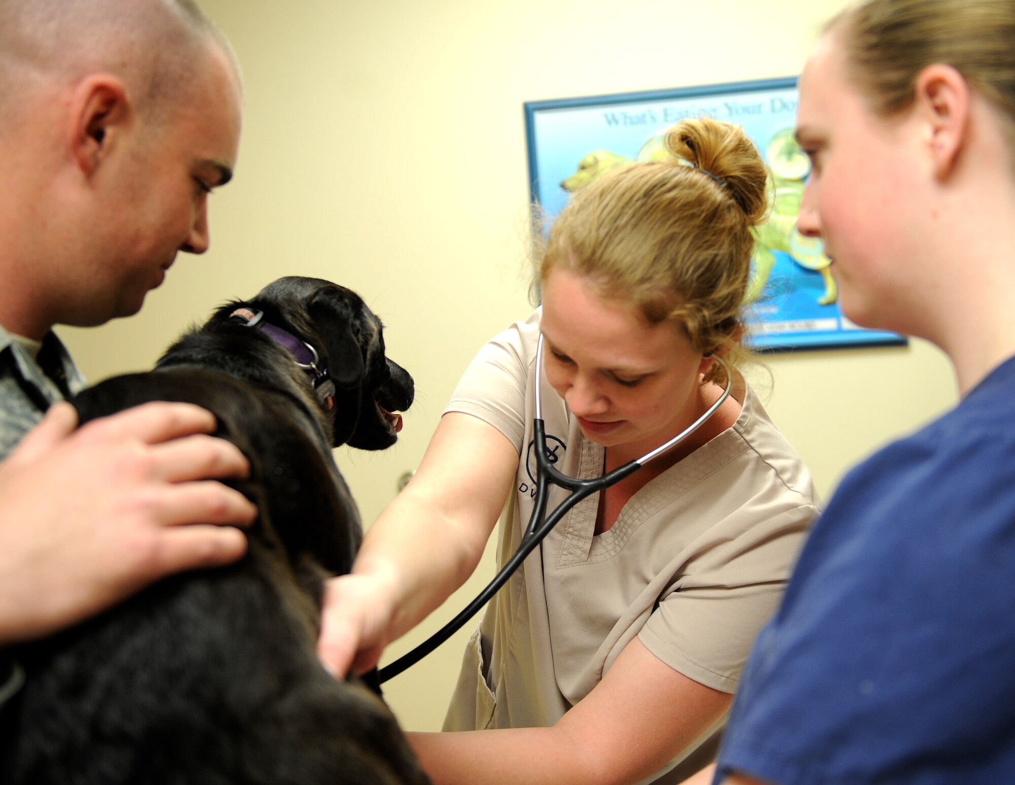 U.S. Army Capt. Megan Branham, Public Health Command at Fort Gordon veterinarian, listens to Dakota’s heartbeat during her first annual checkup at the Veterinary Treatment Facility at Moody Air Force Base, Ga., March 12, 2013. During her visit, she was given a heartworm test, fecal test and vaccines. (U.S. Air Force photo by Airman 1st Class Olivia Bumpers/Released)