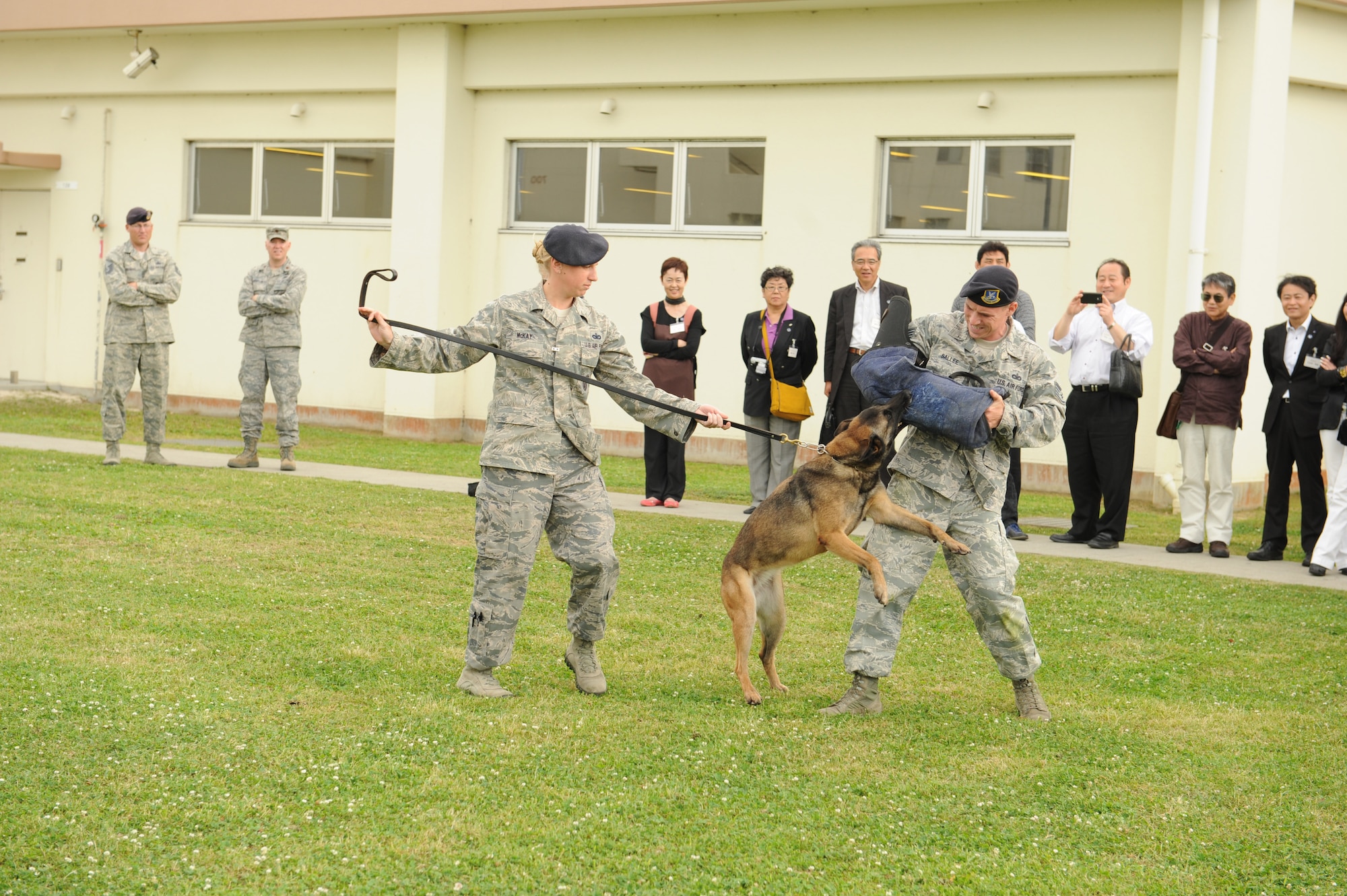 U.S. Air Force Tech. Sgt. Kristen McKay, 18th Security Forces Squadron military dog handler, commands a canine to apprehend a simulated suspected on Kadena Air Base, Japan, March 14, 2013. The demonstration was conducted as part of a visit from Japan Ground Self Defense Force Maj. Gen. Tomofusa Harada, Western Army deputy chief of staff and Japanese civic leaders, who toured the 18th SFS facility. (U.S. Air Force photo/Airman 1st Class Keith A. James)