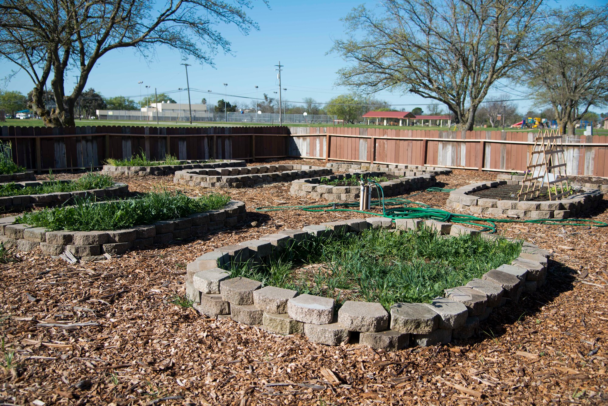 The Travis Community Garden plots bloom with produce at Travis Air Force Base, Calf. March 21.The Travis community garden is located east of the Twin Peaks Chapel andadjacent to the dog park.(U.S. Air Force photo/Airman 1st Class Nicole Leidholm)