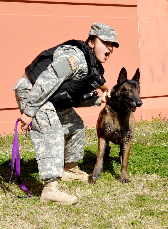 U.S. Army Pfc. Roxanne Cavezuela, 3rd Military Police Detachment military working dog patrol narcotics dog handler, prepares to release her dog Sandor during a controlled aggression training session at Fort Eustis, Va., March 20, 2013. Many females from the MPDs at Fort Eustis have deployed to the Middle East taking on many missions including detainee and convoy operations, base security and acting as host nation mentors. (U.S. Air Force photo by Staff Sgt. Wesley Farnsworth/Released)