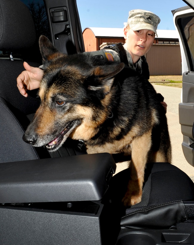 U.S. Army Sgt. Melinda Storsin, 3rd Military Police Detachment military working dog patrol explosive detector dog handler, directs her dog Otta where to sniff inside a vehicle during a search rehearsal at Fort Eustis, Va., March 20, 2013. Storsin has served as the only female on a Special Reaction Team (equivalent to a civilian SWAT team) and now is in her dream job as a military working dog handler. (U.S. Air Force photo by Staff Sgt. Wesley Farnsworth/Released)