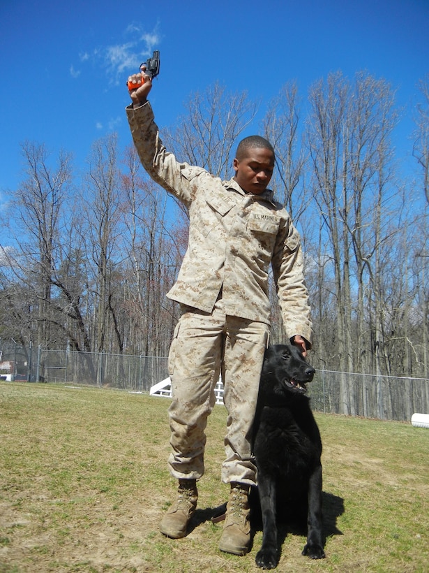 Cpl. Ryan Miller, military police officer and dog handler with the Quantico Provost Marshal’s Office's K9 Unit, exposes his unit’s dogs, including German shepherd Pepo, to gunfire until they no longer react, even at close range. The gun is shooting blanks. 