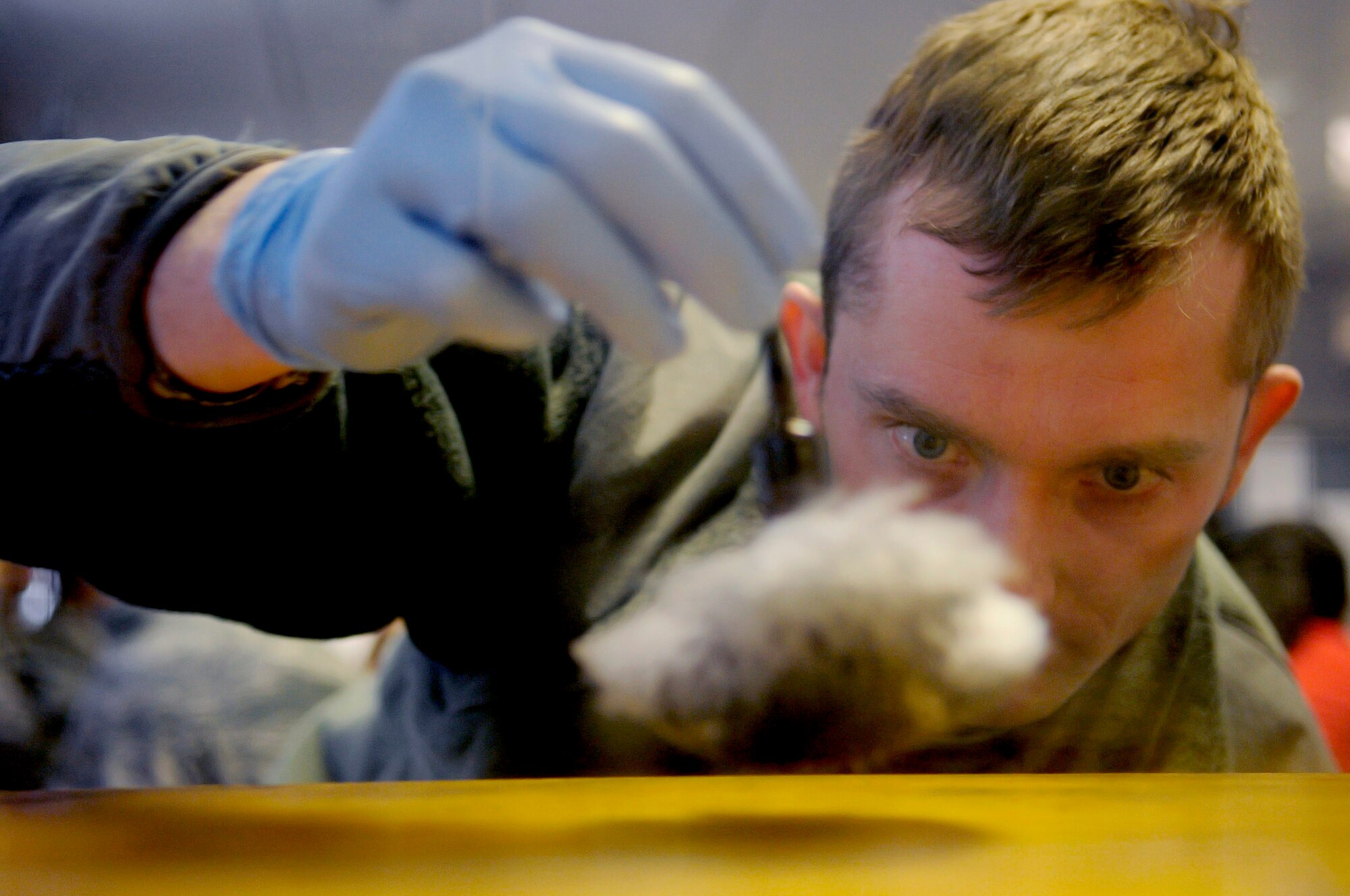 Tech. Sgt. Micheal Crawford, 100th Security Forces Squadron investigator from Elkhart, Texas, dusts for fingerprints during a base exercise March 26, 2013, on RAF Mildenhall, England. This portion of the exercise tested first responders on their reaction and execution of a simulated robbery. (U.S. Air Force photo by Senior Airman Ethan Morgan/released)