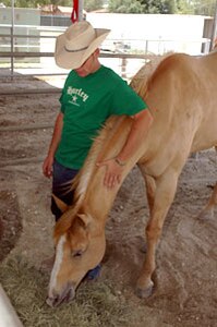 This Texas Army National Guard Soldier gets to wear civilian clothes to prevent wear and tear on his military uniforms while caring for U.S. Border Patrol horses during the year he is serving with Operation Jump Start. Termite is one of his charges at the Del Rio Station in Texas. Border Patrol agents ride horses into areas unsuitable for vehicles. The National Guard is helping the Border Patrol secure the U.S. border with Mexico.