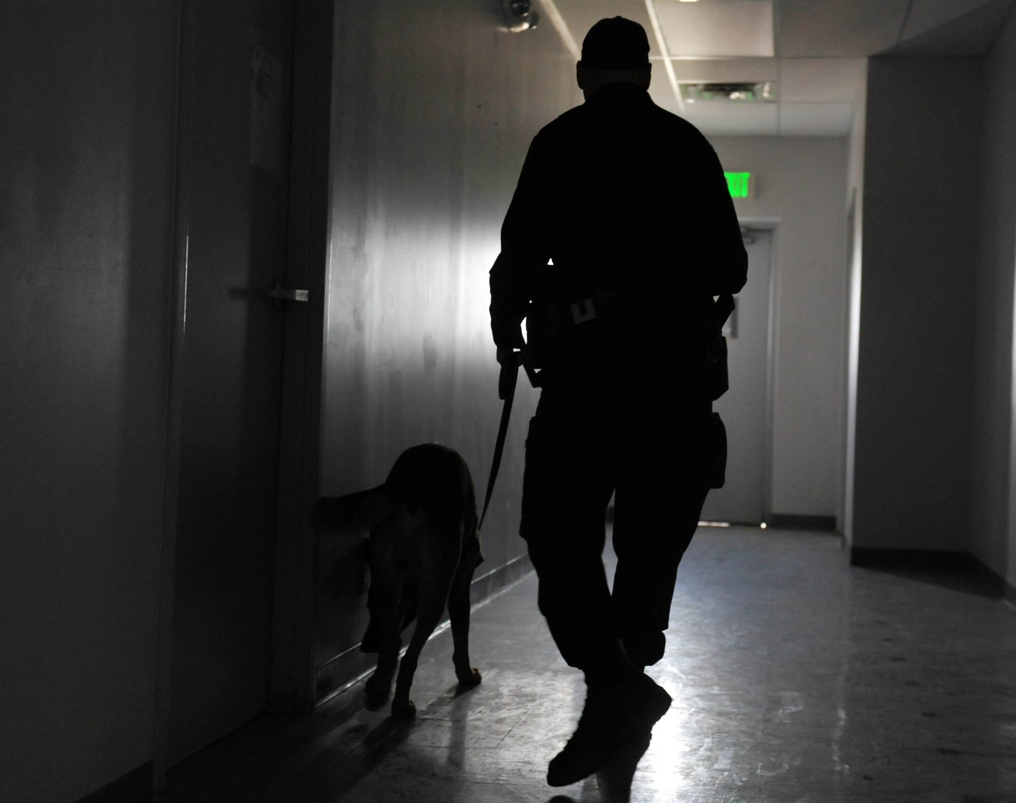 Deputy J. J. Smith, Jefferson County Sheriff’s Office K-9 handler, and his K-9, Flash, search a hallway for a training device March 20, 2013, at a training facility on Buckley Air Force Base, Colo. Smith and Flash were one of several teams that participated in a K-9 training exercise hosted by the 460th Security Forces Squadron. (U.S. Air Force photo by Airman 1st Class Riley Johnson/Released)