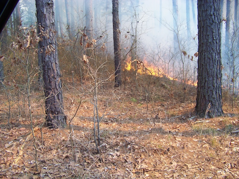 The Army Corps of Engineers Greers Ferry Project Office personnel in coordination with the Arkansas Forestry Commission and other state agencies will conduct prescribed burns in and around Greers Ferry Lake park areas when weather conditions are favorable during the next several months.