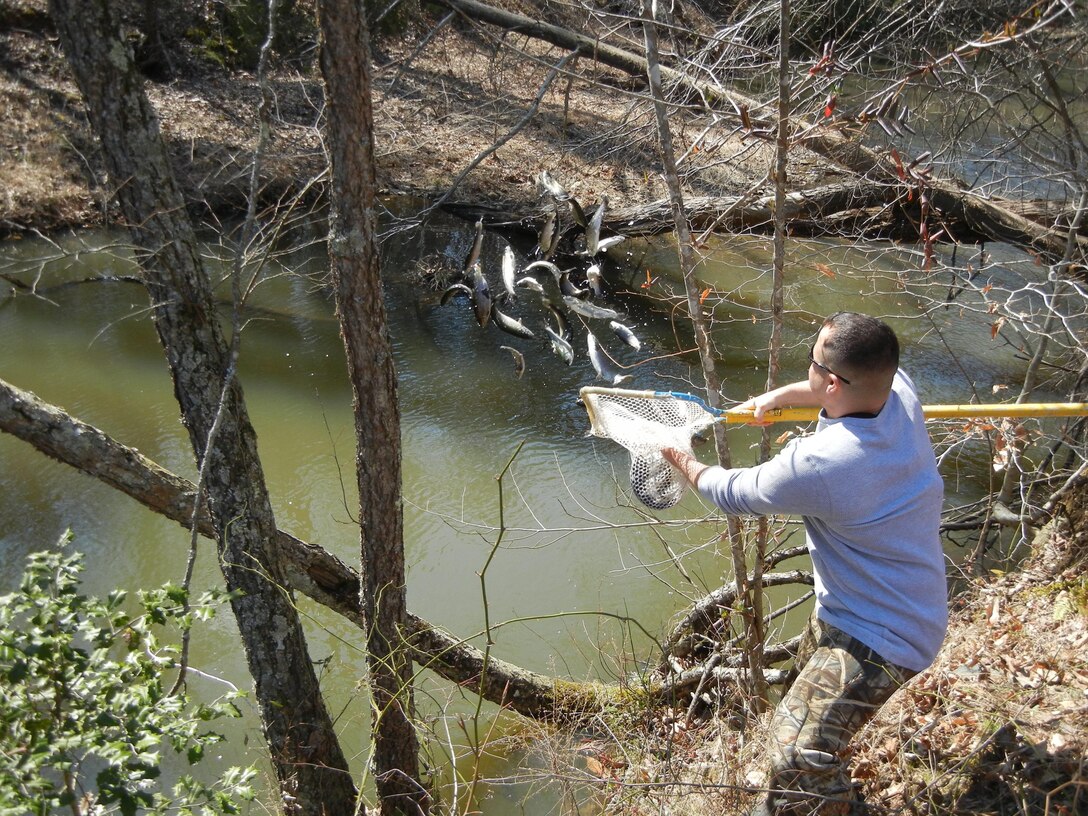 Capt. Daryl Sabourin, head of the audit section for Quantico’s Environmental Management System, pitches a netfull of rainbow trout into Chopawamsic Creek during the season’s first trout stocking March 22. Another stocking will take place the day before the April 6 Heritage Day fishing event. 