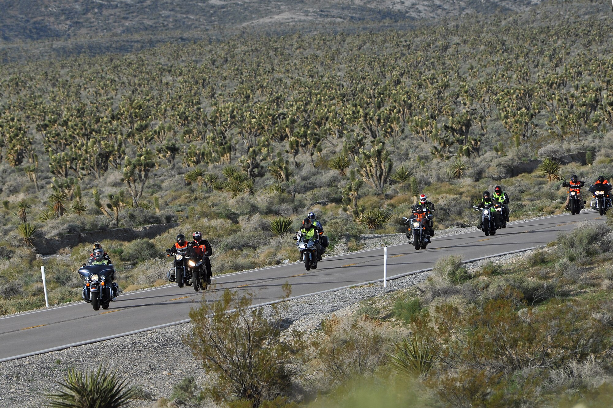 MT. CHARLESTON SCENIC BYWAY, Nev. -- U.S. Air Force Airmen travel through a Joshua Tree forest along Nevada Highway 156, March 25, 2013. The riders participated in a mentorship ride along the Mt. Charleston Scenic Byway before receiving a safety presentation from champion motorcycle rider Jason Pridmore. (U.S. Air Force photo by Senior Master Sgt. P.H./Released)