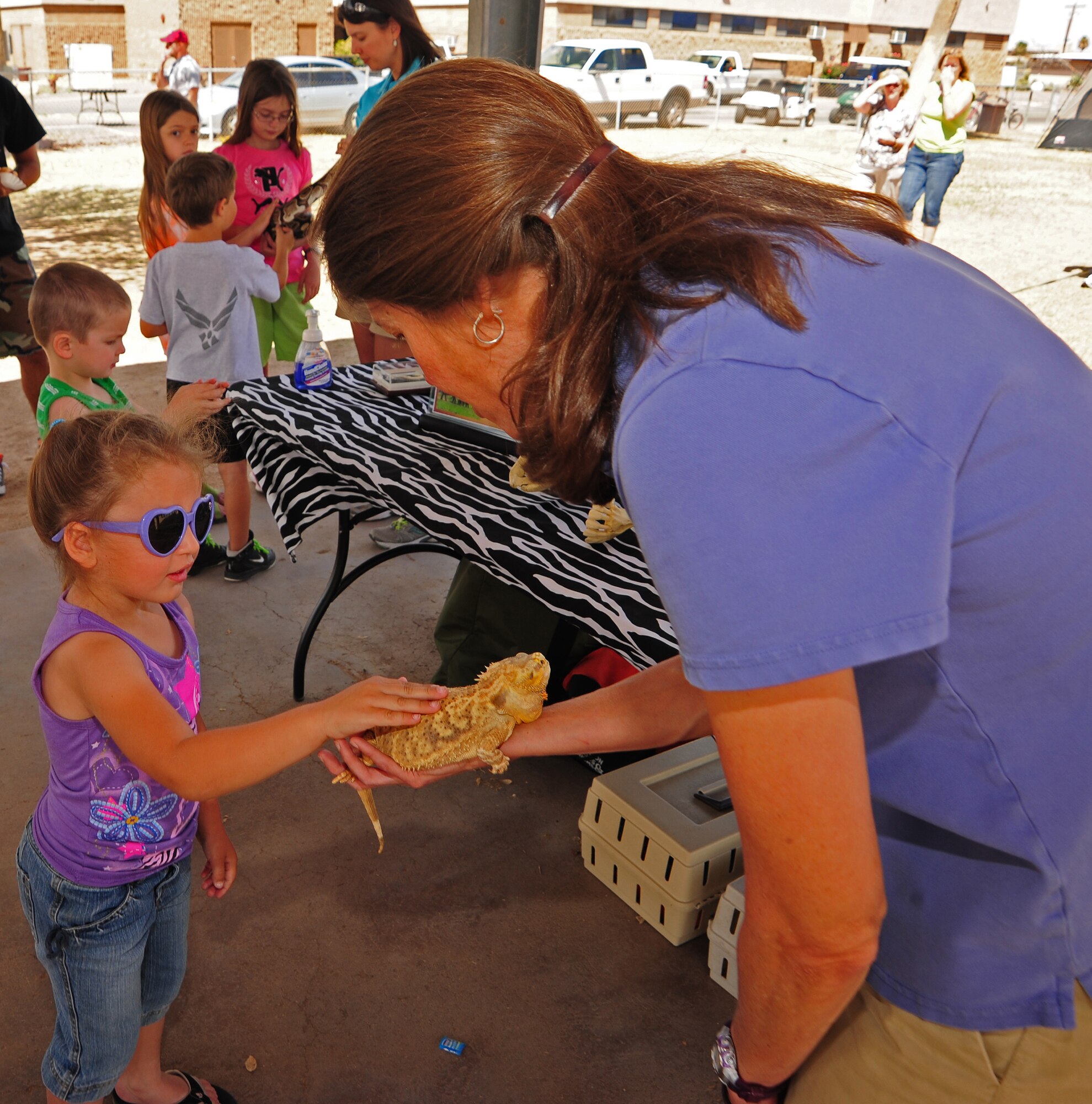 A dependant pets a bearded dragon at the wildlife expo at Davis-Monthan Air Force Base, Ariz., March 27, 2013. Outdoor Recreation teamed up with The Reid Park Zoo for National Wildlife Week to bring a reptile exhibit to the expo. Children were able to learn about the animals, and pet them. (U.S. Air Force photo by Senior Airman Camilla Griffin/Released)
