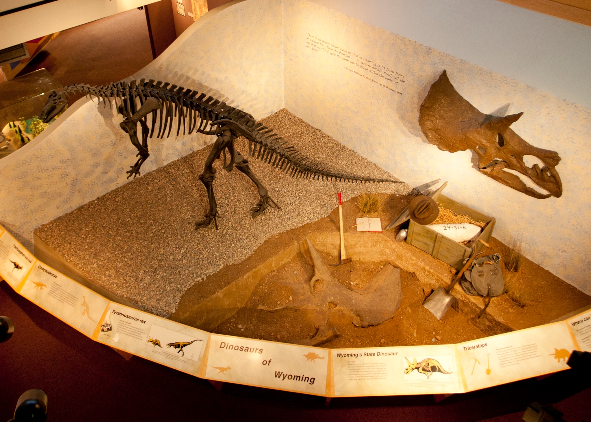 Dinosaurs of Wyoming exhibit as viewed from the 2nd floor of the Wyoming State Museum, which houses many partial and full dinosaur skelaetal structures found in all corners of the great state of WY. (U.S. Air Force photo by Matt Bilden)
