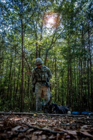 Staff Sgt. Kyle Shaughnessy, 628th Security Forces Squadron military working dog handler, and MWD Jaga, a 3 –year-old German Shepherd Dog assigned to the 628th Security Forces Squadron at Joint Base Charleston, S.C., locate a TNT pack April 27, 2013, at JB Charleston – Air Base. Military Working Dogs  perform multiple duties and training including obedience skills, obstacle courses and various training objectives, depending on their specialized skill.  (U.S. Air Force Illustration / Airman 1st Class Tom Brading)