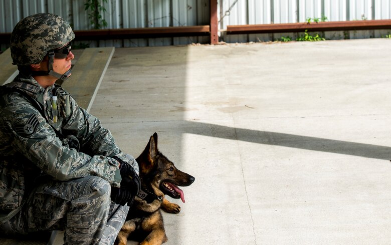 Staff Sgt. Kyle Shaughnessy, 628th Security Forces Squadron military working dog handler, and Military Working Dog Jaga, a 3-year -old German Shepherd Dog assigned to the 628th SFS at Joint Base Charleston, S.C., take a moment to prepare for an odor detection exercise, where Jaga will detect odors associated with explosive or harmful materials used in homemade Improvised Explosive Devices.  MWDs  perform multiple duties and training including obedience skills, obstacle courses and various training objectives, depending on their specialized skill. (U.S. Air Force Photo / Airman 1st Class Tom Brading)

