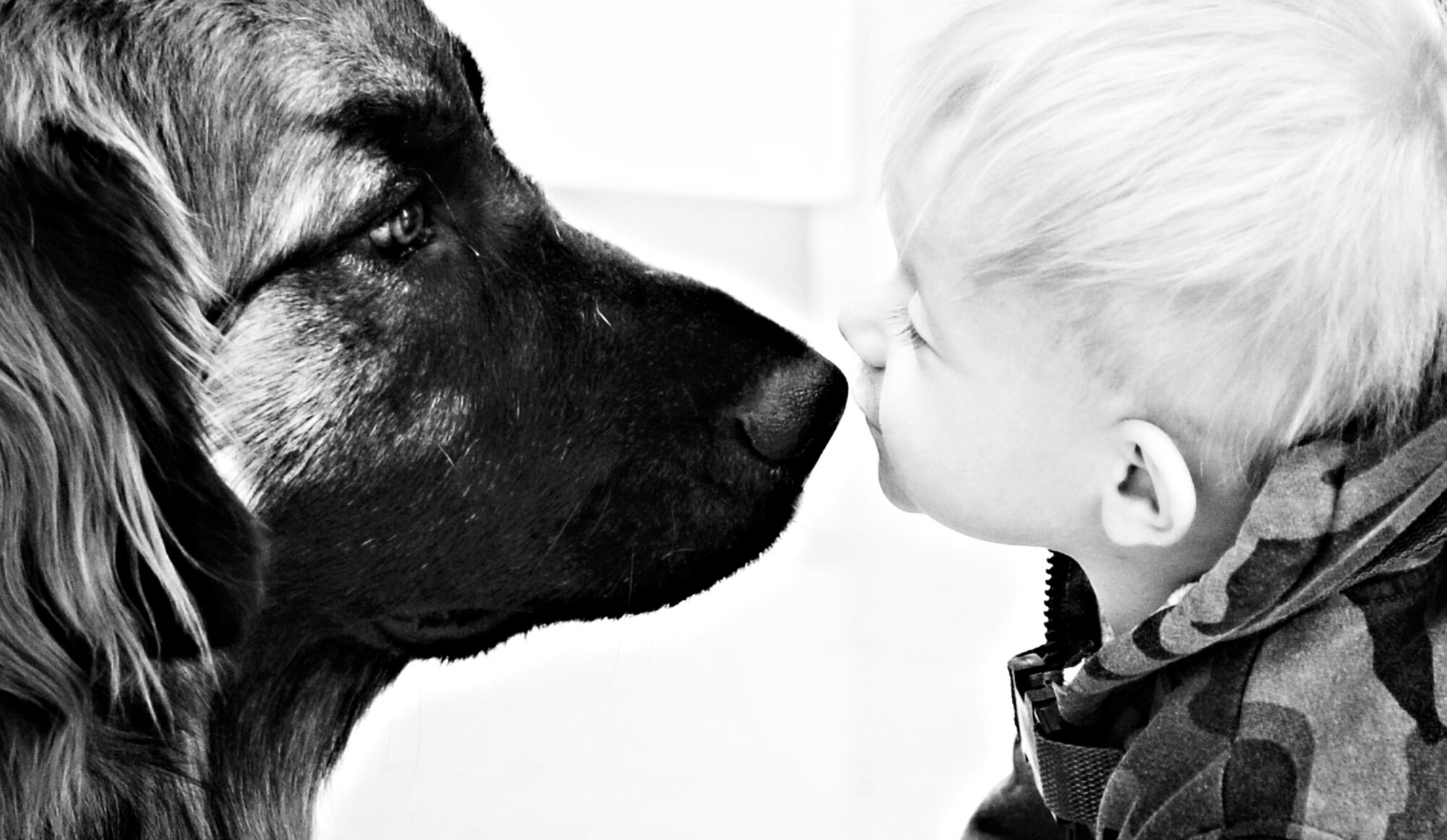 One-year old Preston Polkinghorn plants a kiss on one of Linda Bretz’s pet therapy dogs, May 2, 2013, at Mountain Home Air Force Base, Idaho. Leaders within the 366th Medical Group have seen first-hand the positive effects Bretz’s dogs have on not only the patients but staff as well. (U.S. Air Force photo by Airman 1st Class Shane M. Phipps)


