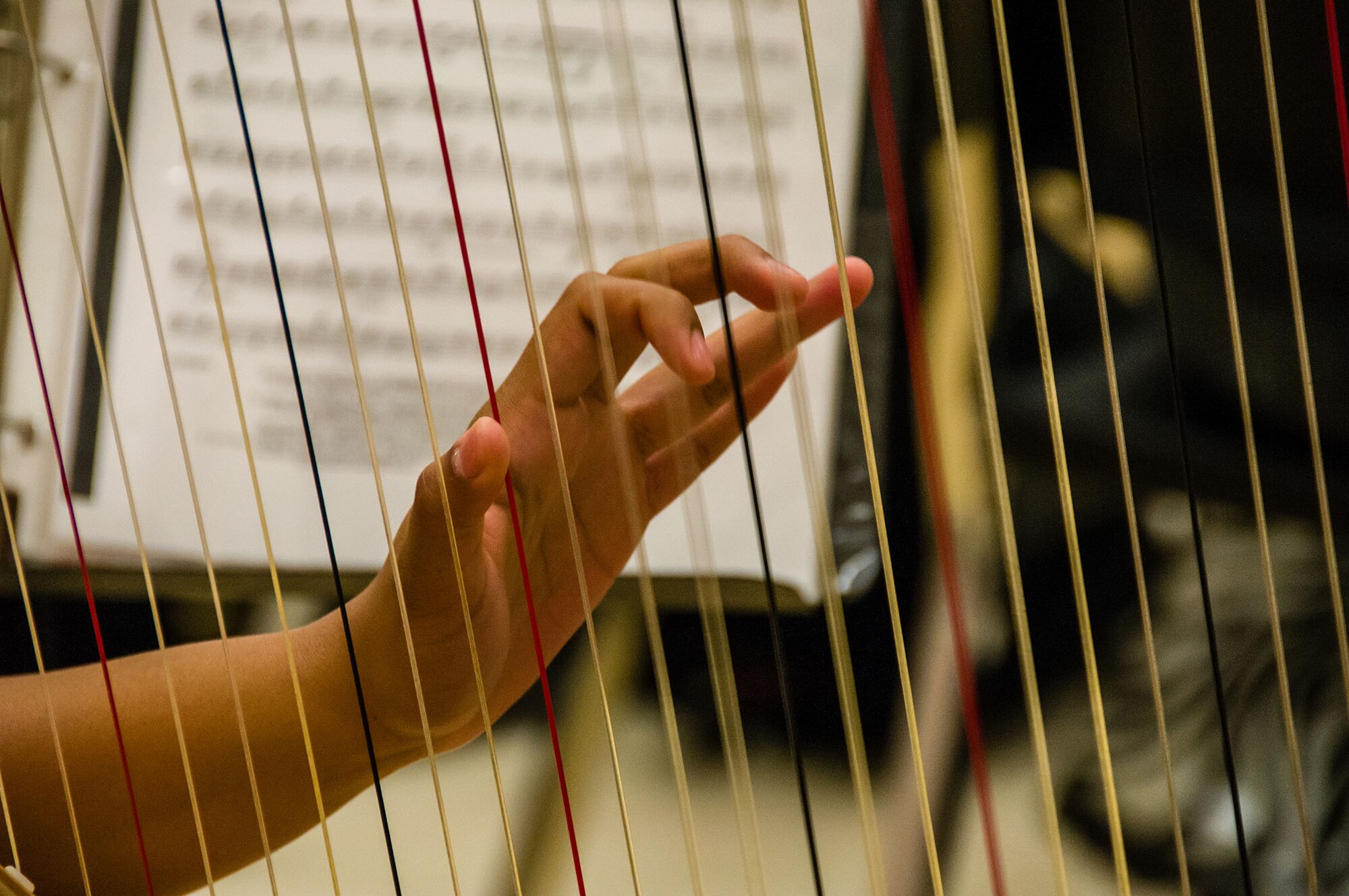 Ariel Inigo, a member of the Macon Symphony Youth Orchestra plays the harp during a rehearsal for the Kaleidoscope Concert.  MSYO partnered with the Band of the U.S. Air Force Reserve to perform a free concert to the public Saturday, May 4, 2013 at 2 p.m. and 7 p.m. This is the time the groups have performed together and will be the last public performance for the Reserve Band before their unit inactivates Sept. 30, 2013. (U.S. Air Force photo/Staff Sgt. Alexy Saltekoff)