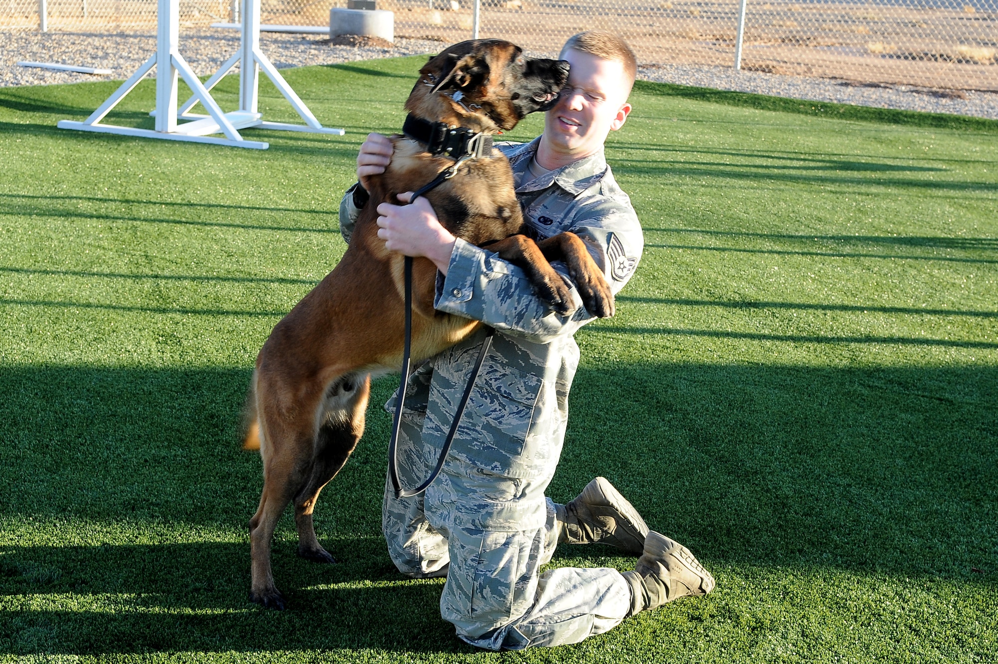 Staff Sgt. Scott Emmick, 56th Security Forces Squadron Military Working Dog handler, and Roy, 56th SFS MWD, play at the SFS kennels Dec. 14 on Luke Air Force Base. The MWD and handler team plays together to maintain a strong bond of trust needed for high stress situations that accompany stateside missions as well those while on deployments. (U.S. Air Force photo/Airman 1st Class James Hensley)