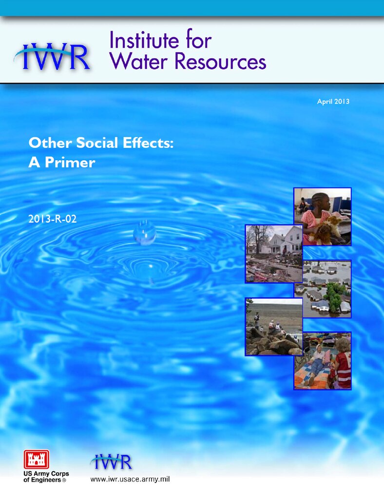 Other Social Effects: A Primer