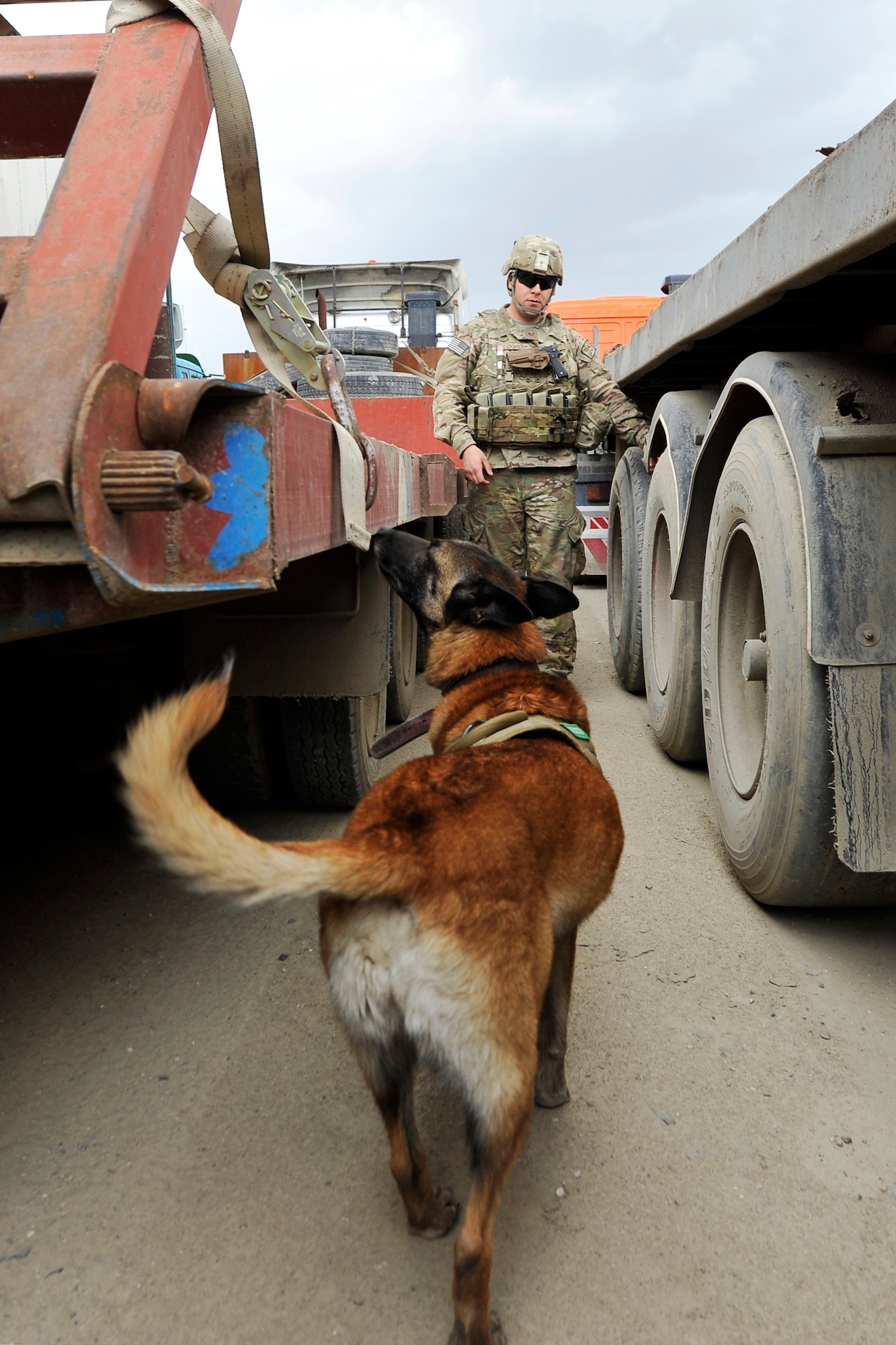 Staff Sgt. Jonathan Cooper, 455th Expeditionary Security Forces Group Military Working Dog handler, and his dog Astra search for Vehicle-Borne Improvised Explosive Devices at Bagram Airfield, Afghanistan, April 29, 2013. Vehicles come from all over Afghanistan and must be searched for VBIED threats before they can enter the installation. (U.S. Air Force photo/Senior Airman Chris Willis)