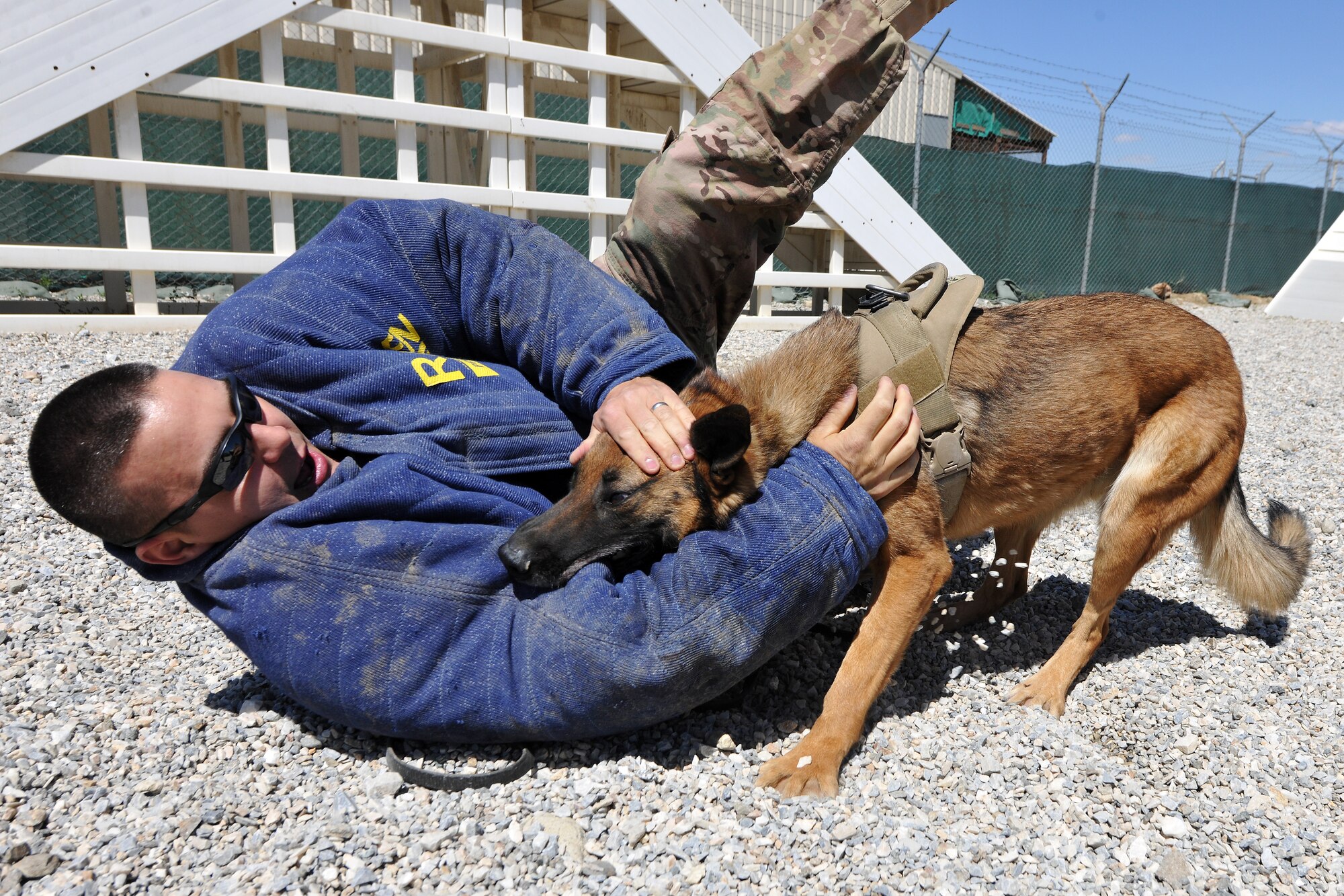 Tech. Sgt. Adam Leslie, 455th Expeditionary Security Forces Group Military Working Dog kennel master, and MWD Ruth perform controlled aggression training at Bagram Airfield, Afghanistan, April 28, 2013. Controlled aggression training creates scenarios in which the MWD team responds to a suspect or unidentified individual.  (U.S. Air Force photo/Senior Airman Chris Willis) 