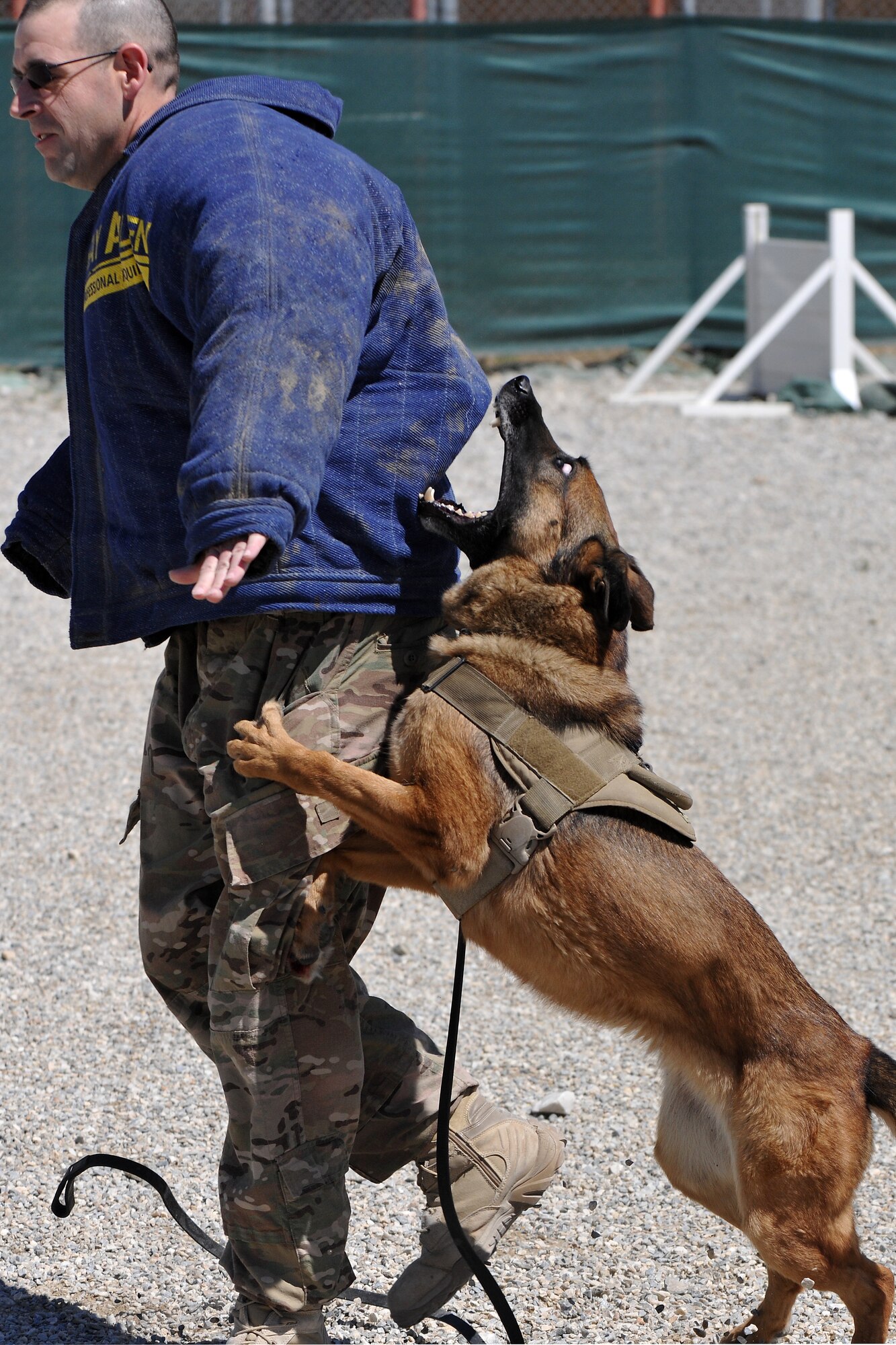 Senior Master Sgt. Edward Keenan, 455th Expeditionary Security Forces Group operations superintendent, and Military Working Dog Ruth perform controlled aggression training at Bagram Airfield, Afghanistan, April 28, 2013. Controlled aggression training creates scenarios in which the MWD team responds to a suspect or unidentified individual.  (U.S. Air Force photo/Senior Airman Chris Willis) 