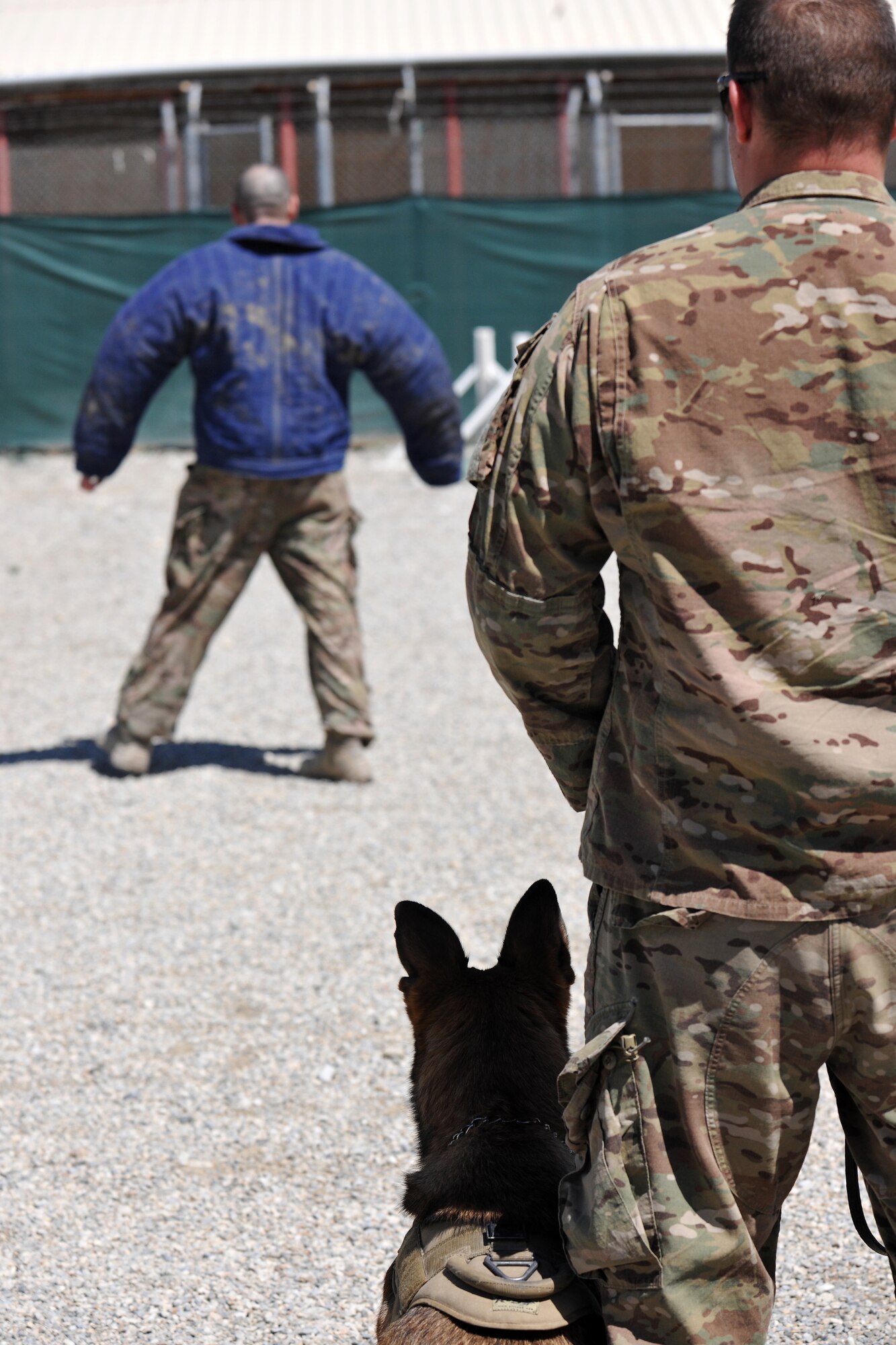 Senior Master Sgt. Edward Keenan, 455th Expeditionary Security Forces Group operations superintendent, and Military Working Dog Ruth perform controlled aggression training at Bagram Airfield, Afghanistan, April 28, 2013. Controlled aggression training creates scenarios in which the MWD team responds to a suspect or unidentified individual.  (U.S. Air Force photo/Senior Airman Chris Willis) 