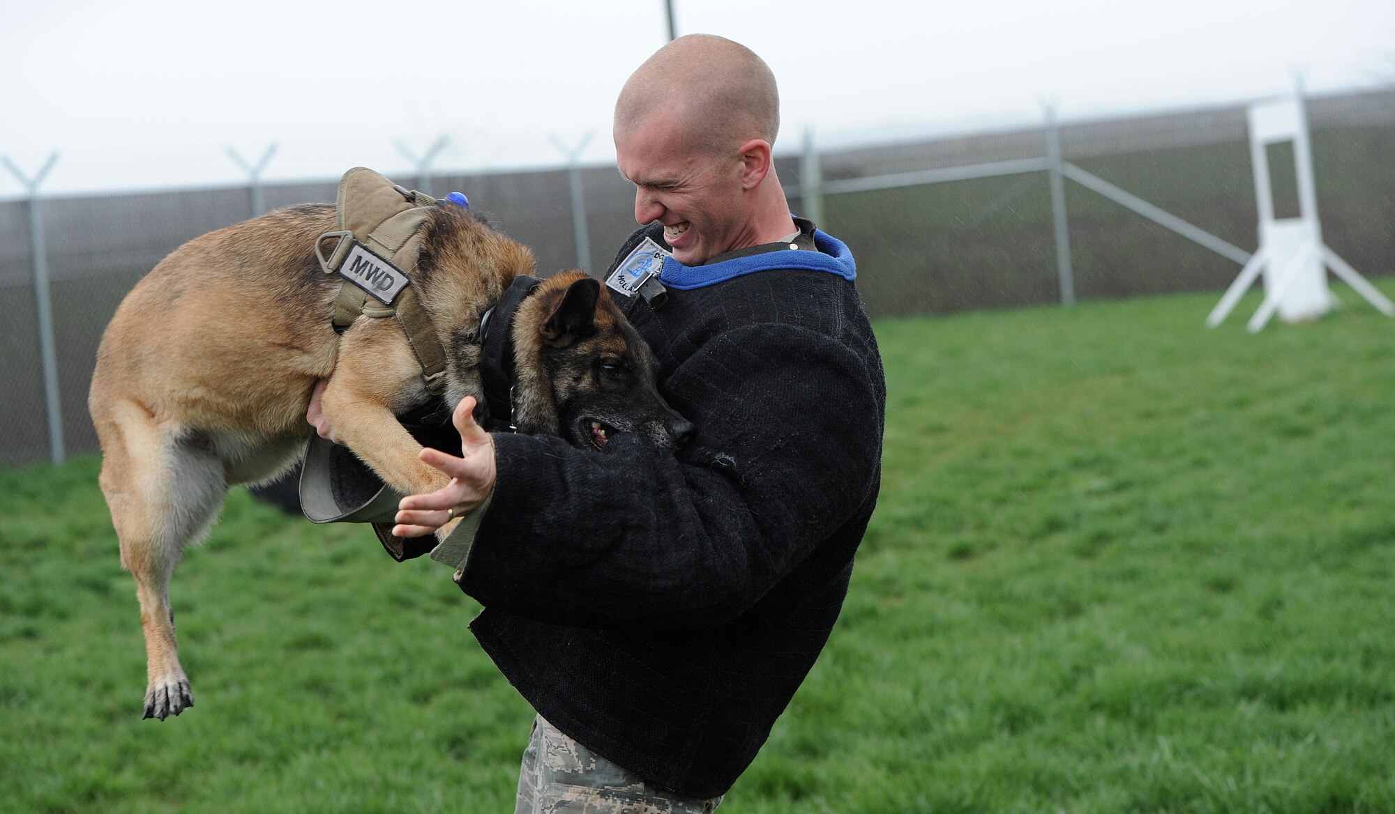 Staff Sgt. Grant Meyers, 509th Security Forces Squadron military working dog trainer, wrestles with a military working dog during a bite sleeve scenario at Whiteman Air Force Base, March 23, 2013. Bite sleeve scenarios are used to teach the canines controlled aggression and obedience.   (U.S. Air Force photo by Staff Sgt. Nick Wilson/Released)