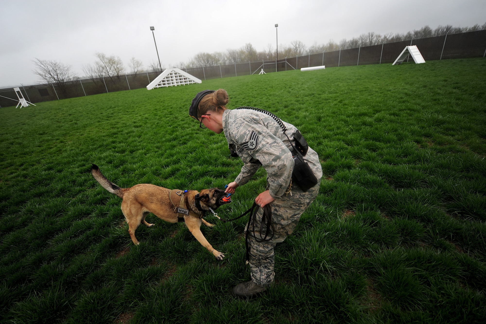 Staff Sgt. Amanda Cubbage, 509th Security Forces Squadron canine handler, gives her dog, Mina, a chew toy after she completed an obedience course at Whiteman Air Force Base, March 23, 2013. The obedience course teaches dogs to respond to instructions of their handlers so they can provide special capabilities that assist in providing security for personnel and resources on base.  (U.S. Air Force photo by Staff Sgt. Nick Wilson/Released)