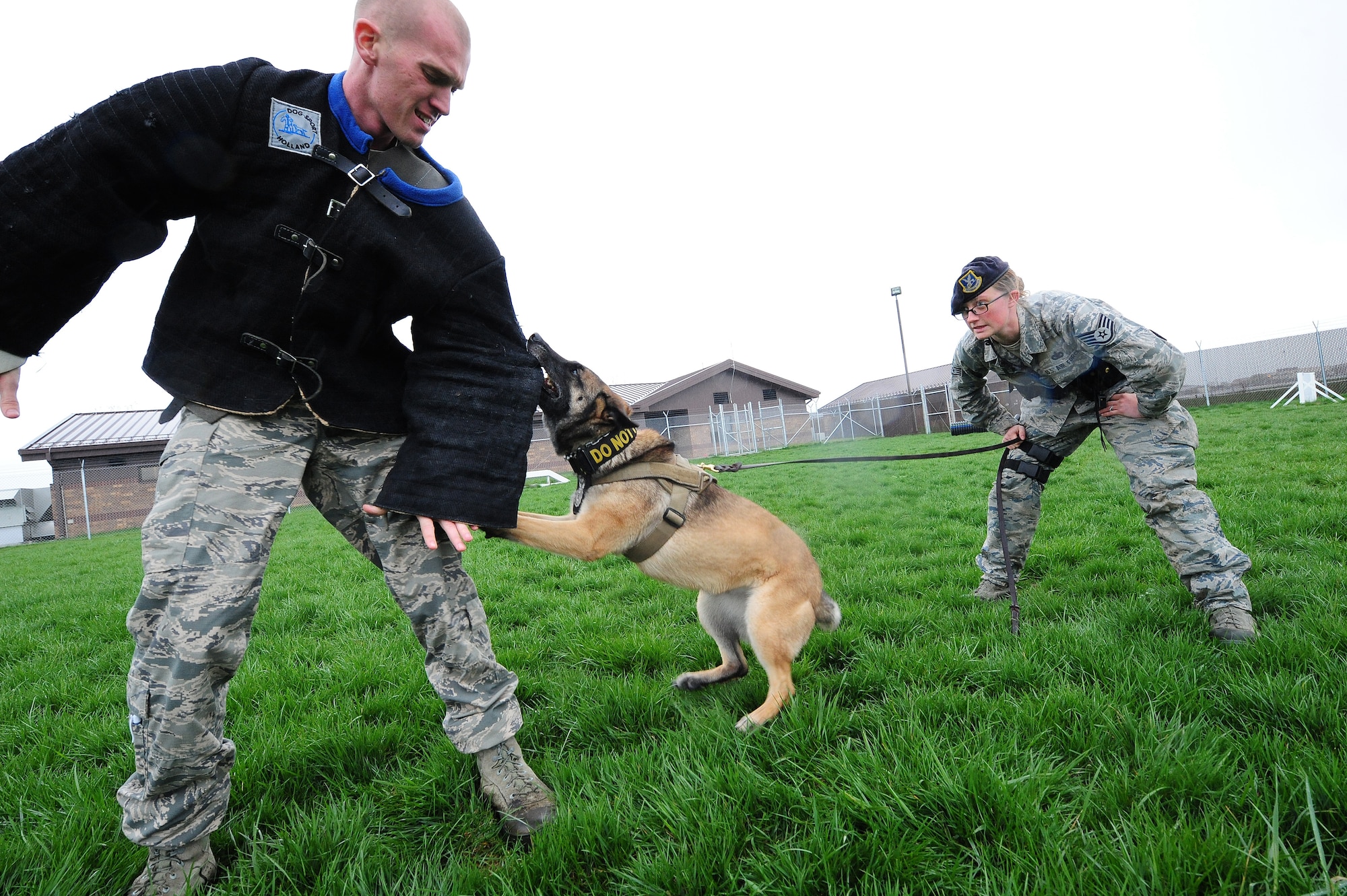 Staff Sgt. Grant Meyers, 509th Security Forces Squadron military working dog trainer, acts as an aggressor as he is bitten by a military working dog while Staff Sgt. Amanda Cubbage, 509th SFS canine handler, supervises during a bite sleeve scenario at Whiteman Air Force Base, April 23, 2013. Bite sleeve scenarios are used to teach the canines controlled aggression and obedience.   (U.S. Air Force photo by Staff Sgt. Nick Wilson/Released)