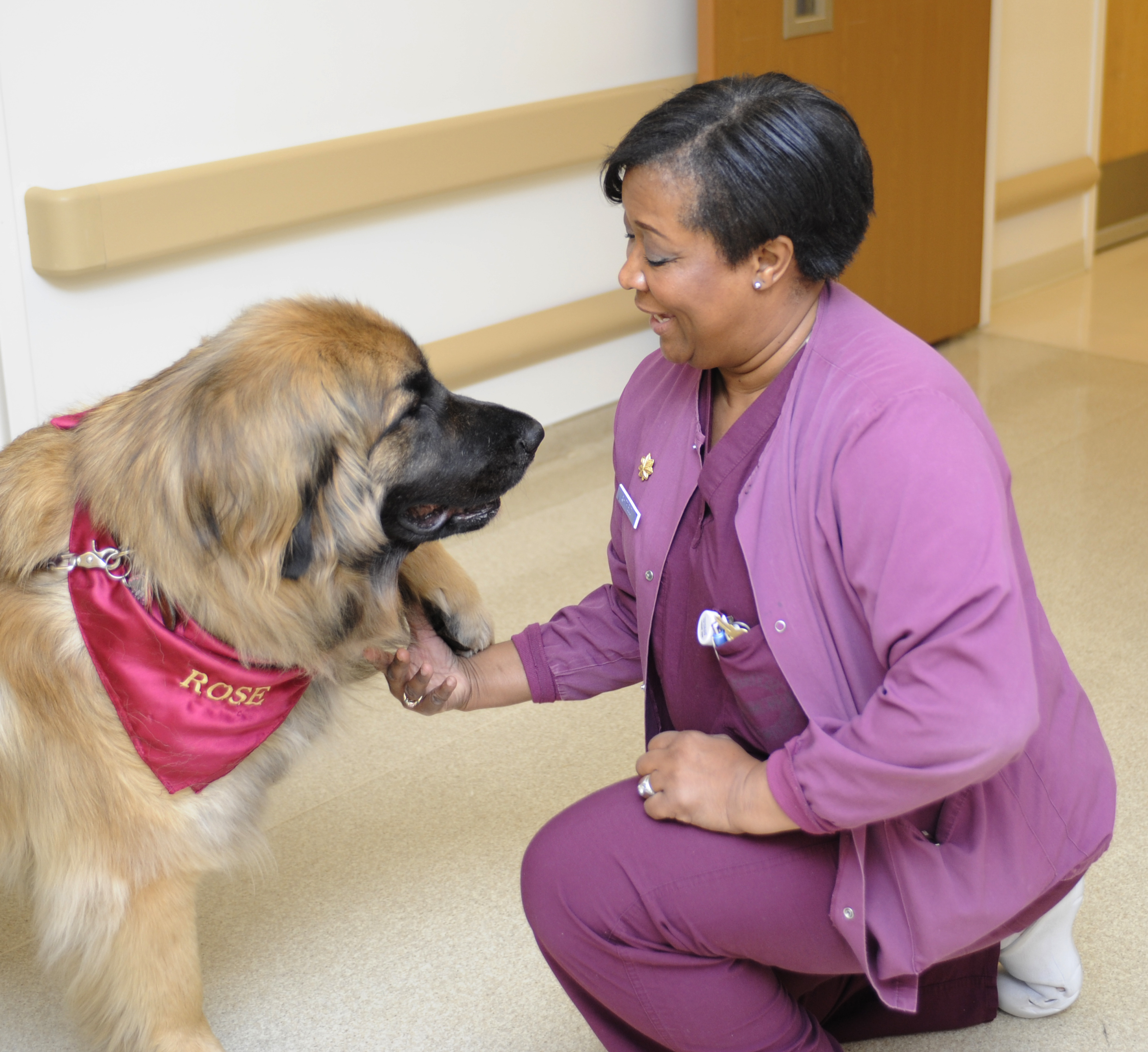 Therapy dogs bring joy to all > Air Force Medical Service > News