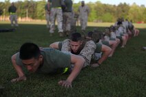 A squad of Marines and sailors with 2nd Maintenance Battalion, Combat Logistics Regiment 25, 2nd Marine Logistics Group prepares to execute squad pushups during a battalion physical training competition aboard Camp Lejeune, N.C., April 26, 2013. The battalion performed exercises, which were designed to challenge all of the servicemembers and force them to work as teams. 