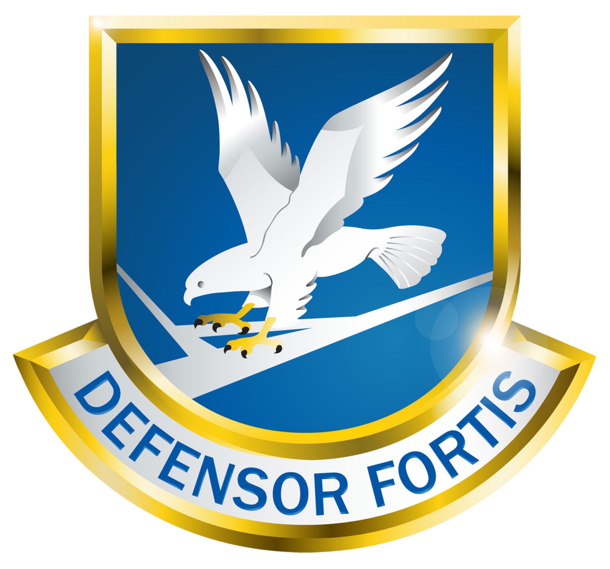 Defensor Fortis Flash "Chrome"
Generated by the HQ AFSFC, Joint Base San Antonio - Lackland, TX