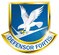 710th SECURITY FORCES SQUADRON