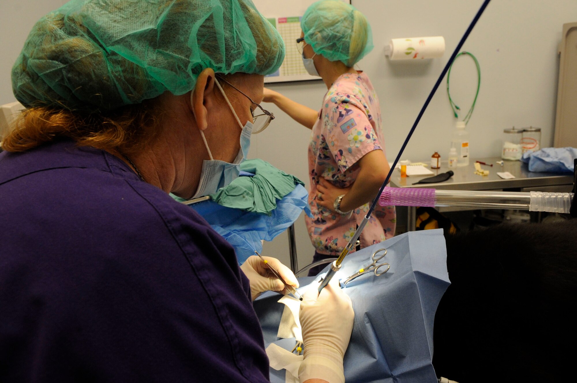 Dr. Tracy Pierce, Veterinarian, uses a laser during surgery on Barksdale Air Force Base, La., May 2, 2013. The base vet clinic provides services to Military Working Dogs and Team Barksdale's pets, ranging from check-ups, dental work and surgery. (U.S. Air Force photo/Airman 1st Class Andrew Moua)