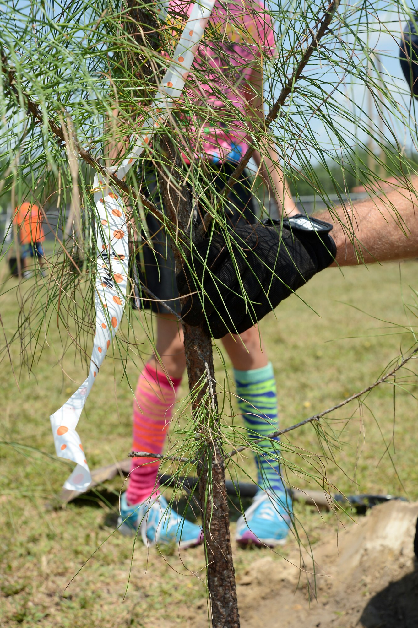 Christopher Sutton, 6th Civil Engineer Squadron contractor, ensures that the tree is planted correctly during an Arbor Day ceremony at MacDill Air Force Base, Fla. on April 26, 2013. MacDill has partnered with the Arbor Day Foundation Tree City USA program that provides the framework for community forestry management for cities and towns across America. (U.S. Air Force photo by Senior Airman Shandresha Mitchell/ Released)