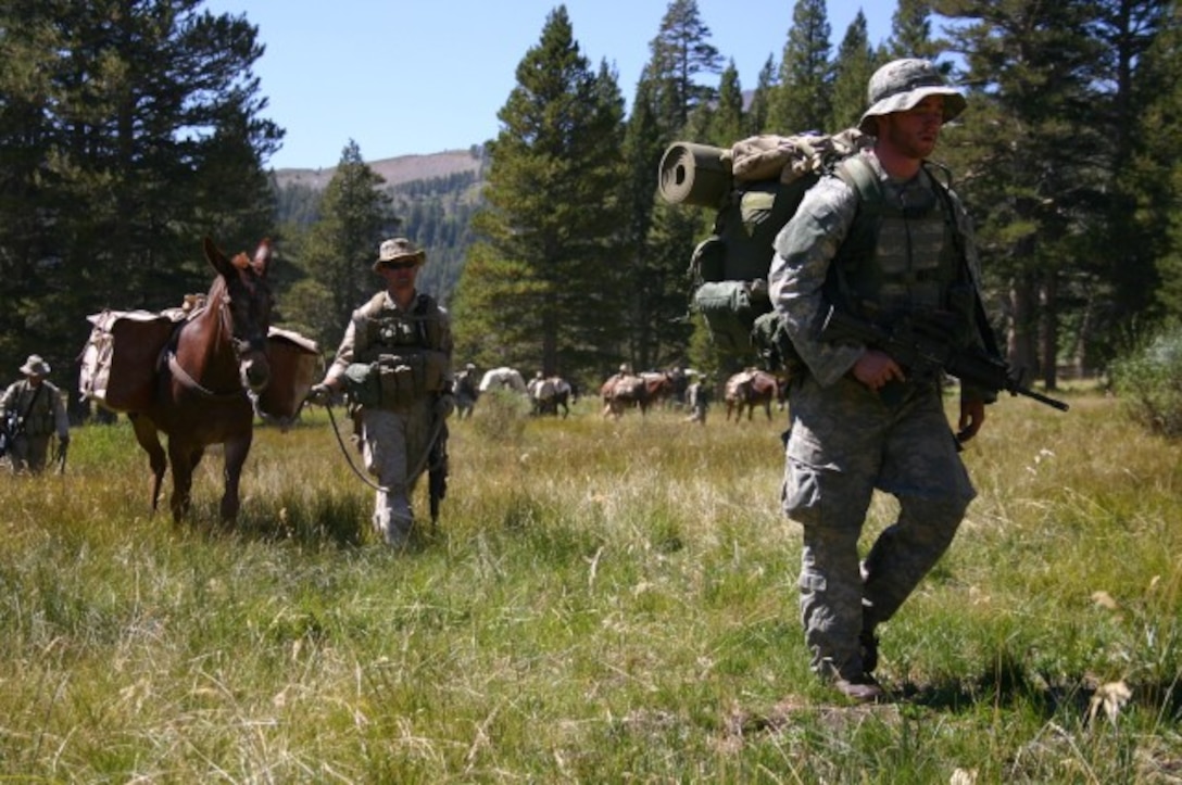 Marines with mules and horses on patrol during Mountain Exercise.