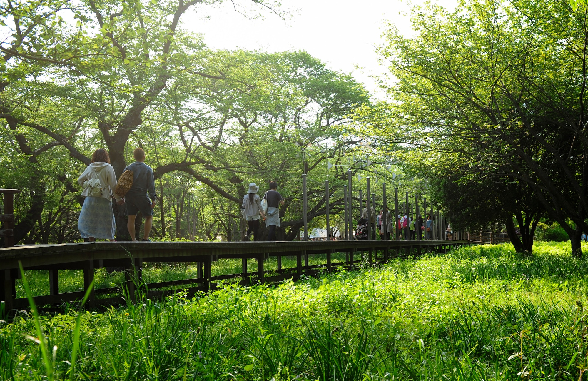 TACHIKAWA, Japan -- People cross a wooden bridge on their way to the children’s area of Showa Kinen Park May 5, 2013. One of the park’s popular areas is Waterfowl Lake, where people can use rowboats and paddle boats. (U.S. Air Force photo by Senior Airman Michael Washburn/Released)