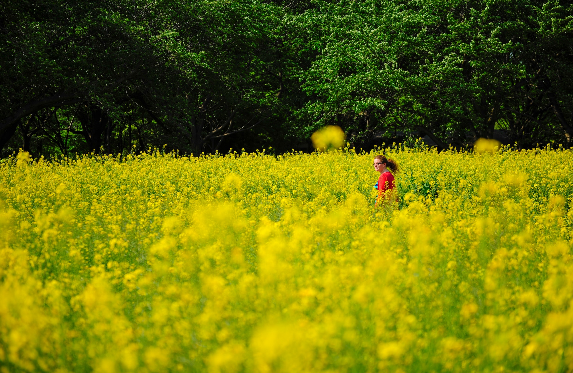 TACHIKAWA, Japan -- A woman walks through a field of flowers at Showa Kinen Park May 5, 2013. According to their website, Showa Park was part of a project to commemorate the 50th anniversary of Emperor Showa’s reign. (U.S. Air Force photo by Senior Airman Michael Washburn/Released)